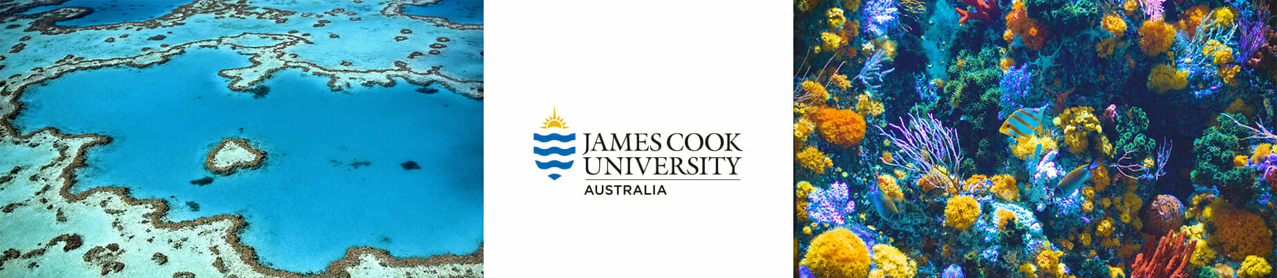 james cook university