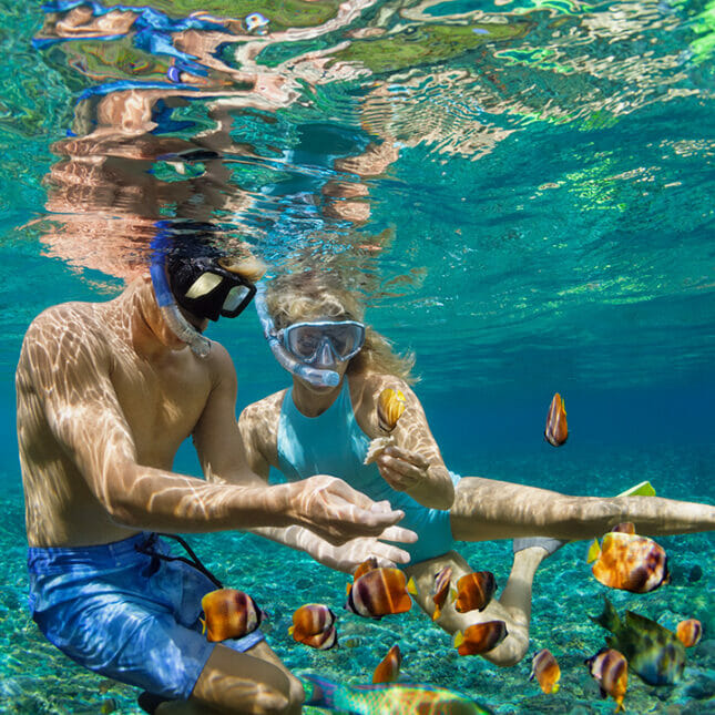 To studenter dykker under vann med fisker i Australia. 