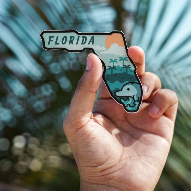 Hånd som holder opp Florida-"knapp". Bilde