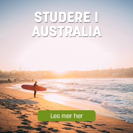Bilde av en strand i Australia med lenke til informasjonsside om studier der.