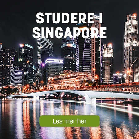 Singapore by på nattestid med lenke til å studere i Singapore. Bilde